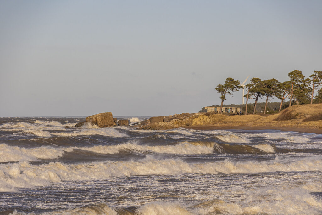 Autors: Foto - Aigars Prūsis