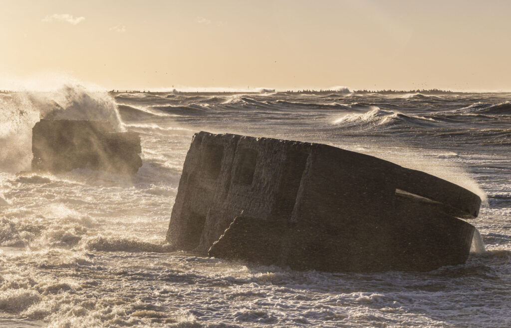 Autors: Foto - Aigars Prūsis