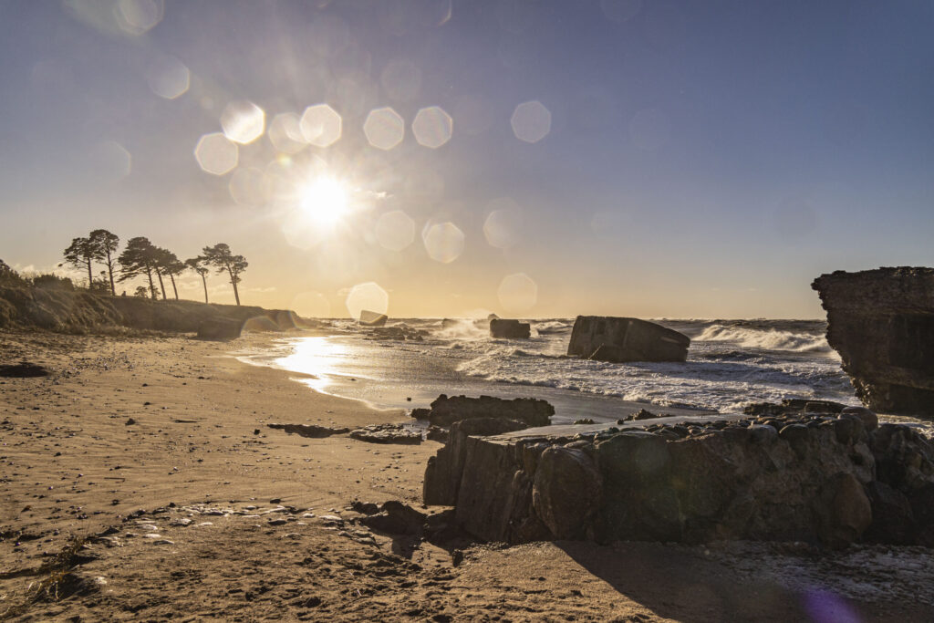 Autors: Foto - Aigars Prūsis