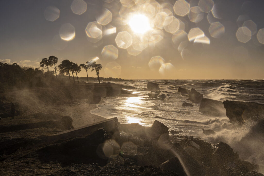 Autors: Foto - Aigars Prūsis