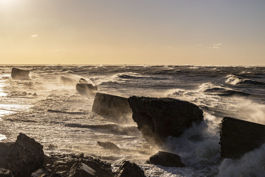 Autors: Foto - Aigars Prūsis