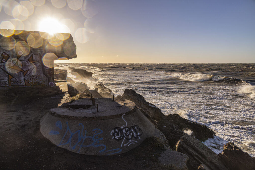 Autors: Foto - Aigars Prūsis