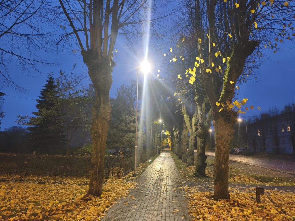 Aluksniesiem.lv raksta attēla aizvietotājs