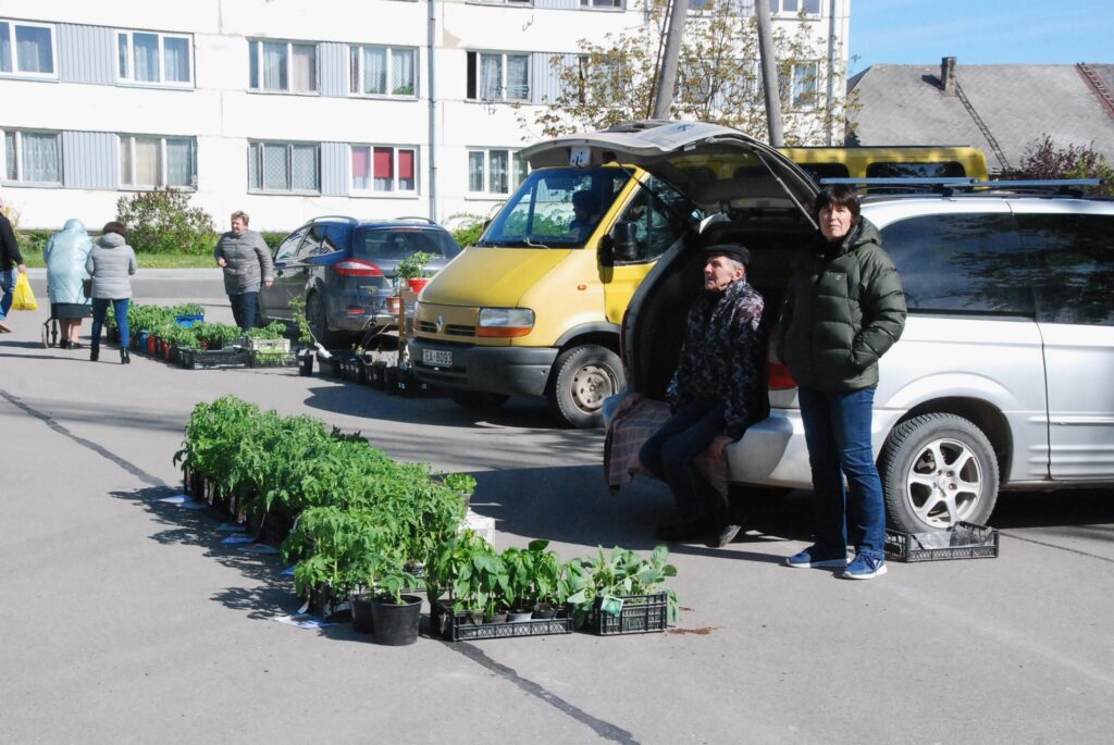 Aluksniesiem.lv raksta attēla aizvietotājs