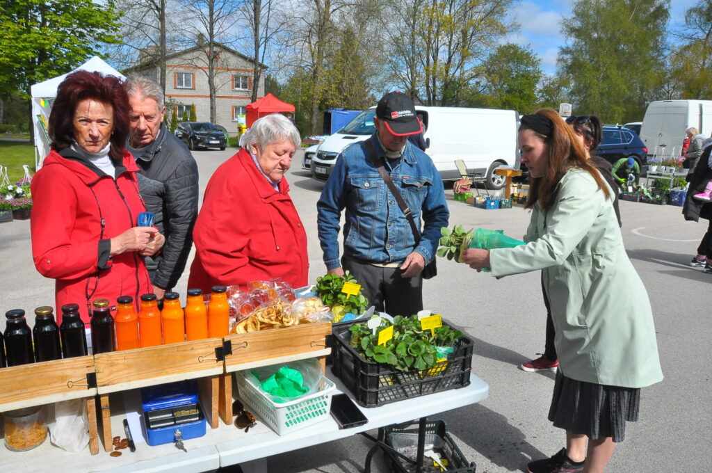 Aluksniesiem.lv raksta attēla aizvietotājs