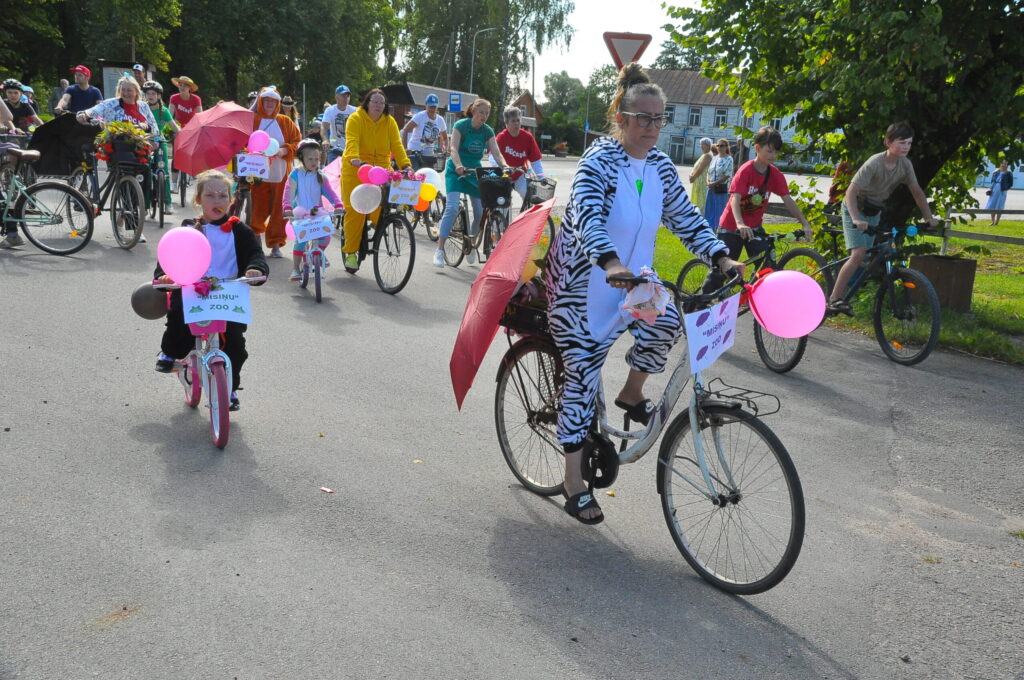 Aluksniesiem.lv raksta attēla aizvietotājs