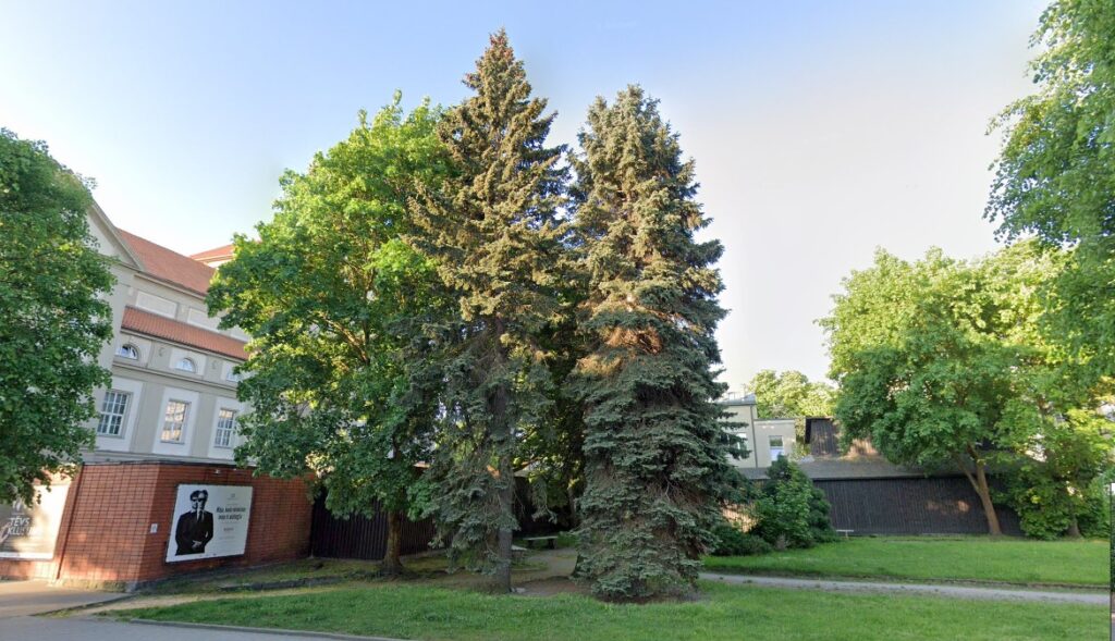 Aluksniesiem.lv raksta attēla aizvietotājs