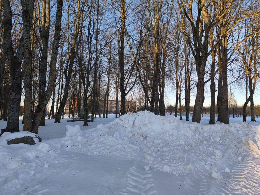 Aluksniesiem.lv raksta attēla aizvietotājs