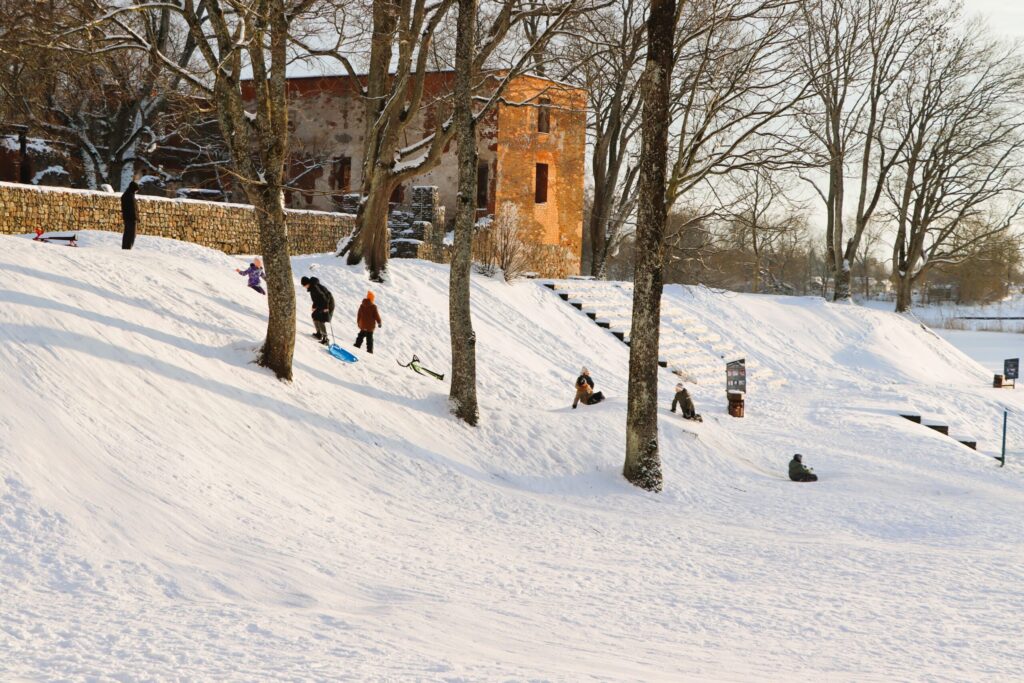 Aluksniesiem.lv raksta attēla aizvietotājs