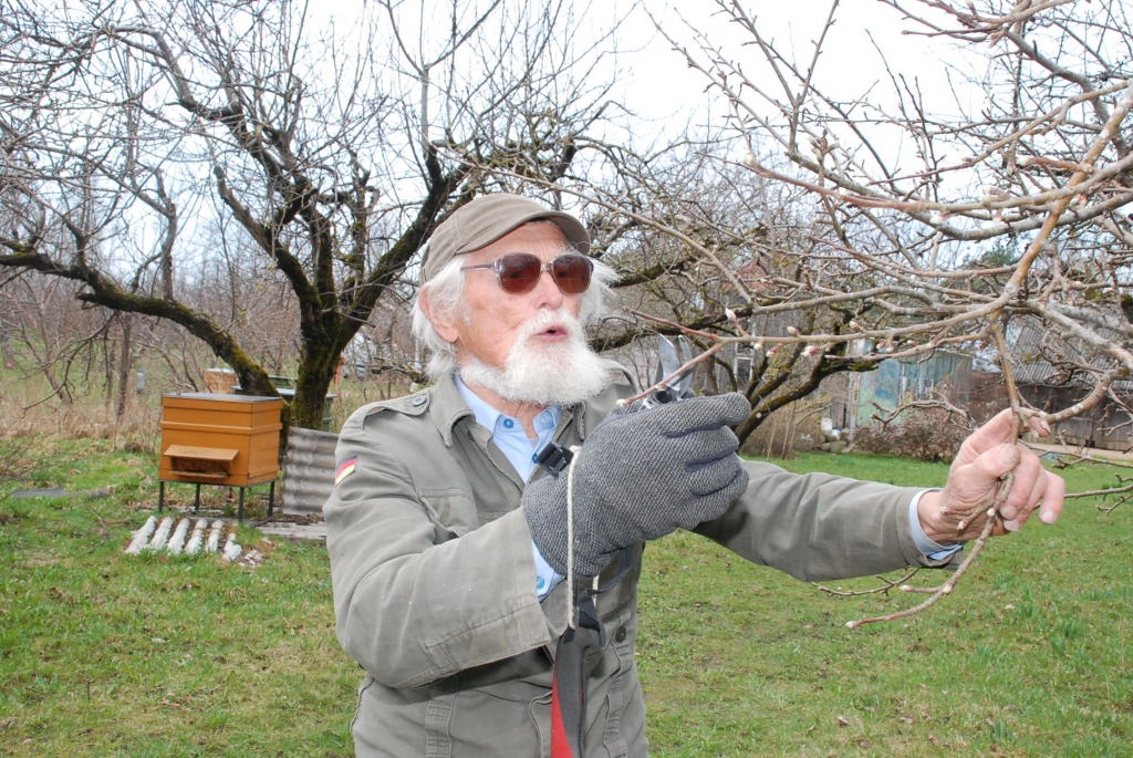 Aluksniesiem.lv raksta attēla aizvietotājs