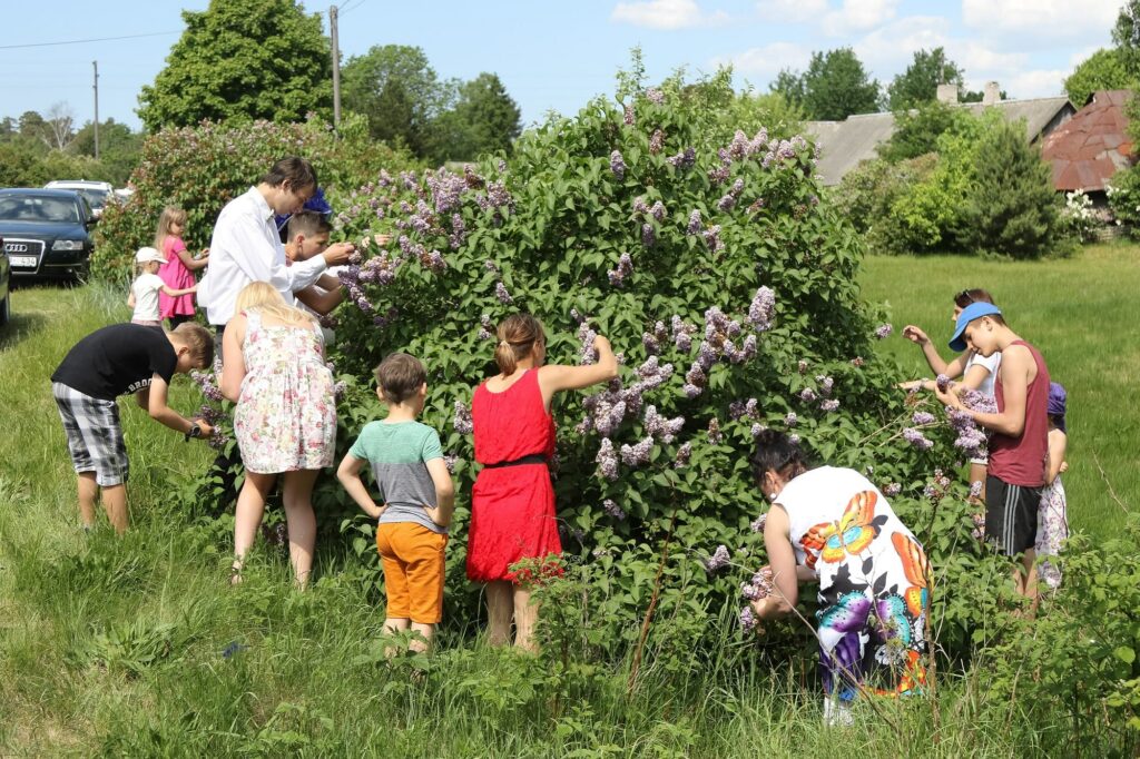 Aluksniesiem.lv raksta attēla aizvietotājs